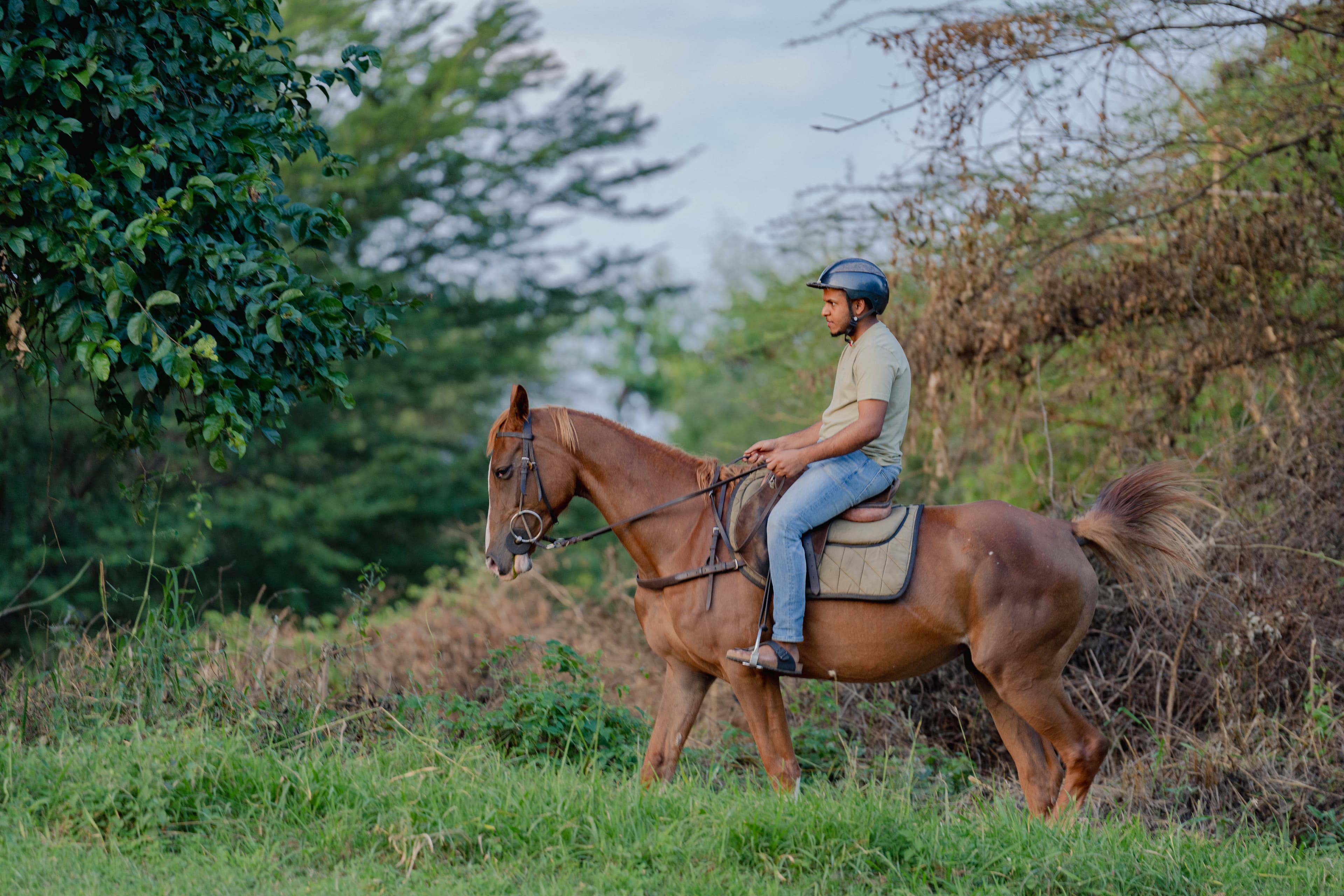 Front view of Aya Sophia wildlife villa in Arusha, Tanzania - a luxury retreat surrounded by nature, perfect for elegant stays
