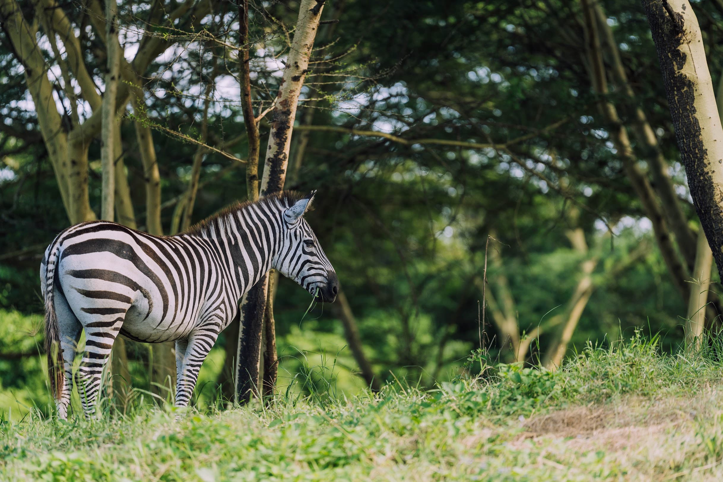 Aya sophia tools and properties contact us to get more informations.